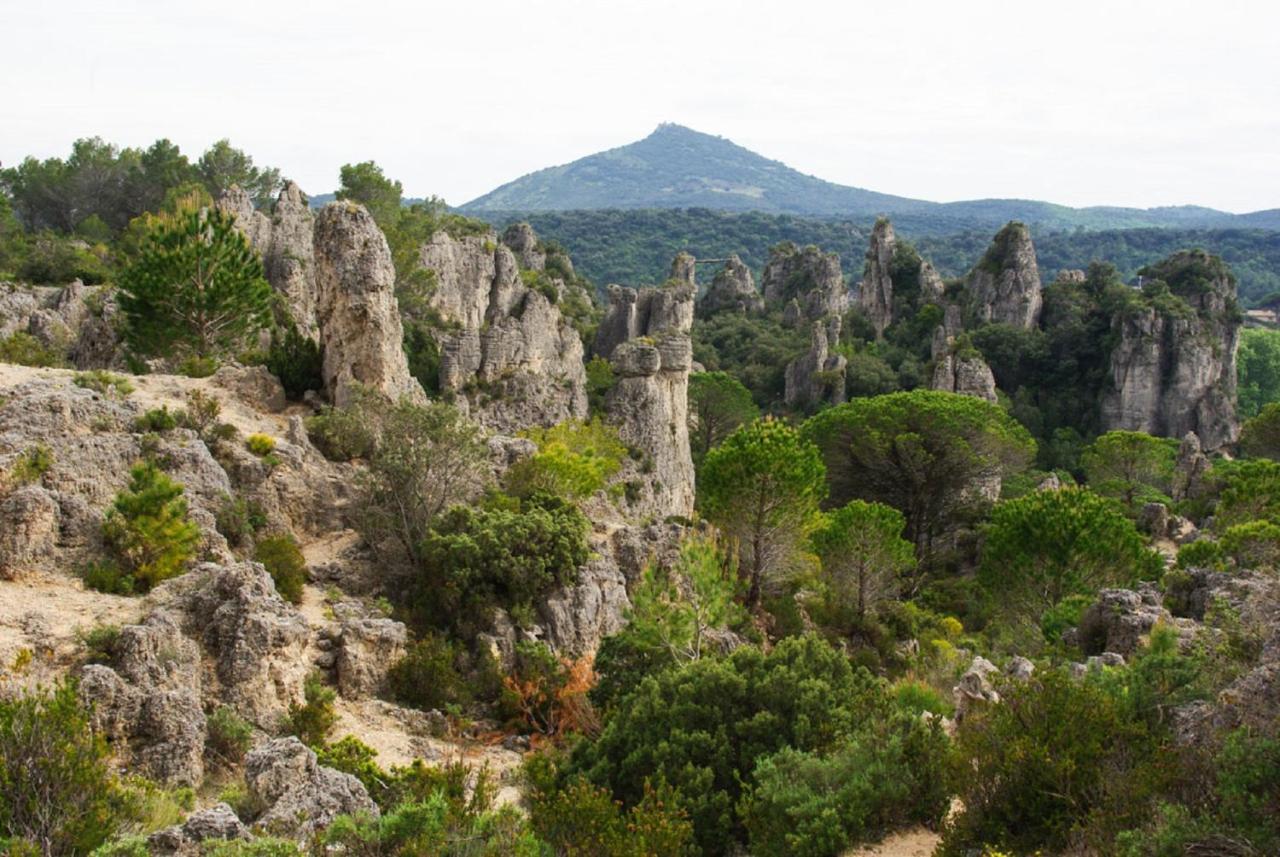 "Evasion"-Meuble De Tourisme 3 Etoiles -Residence "Les Logis De Beziers"-Garage Optionnel-Coeur De Ville-Plages A 16Km ! 外观 照片